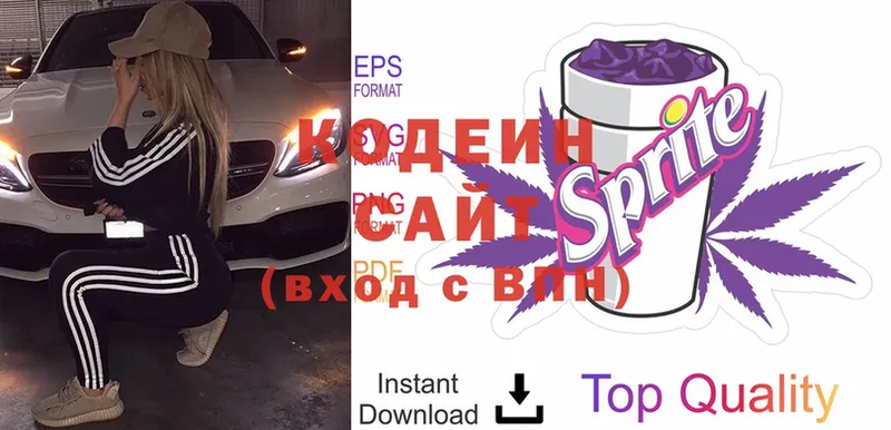 наркошоп  Скопин  Кодеиновый сироп Lean Purple Drank 